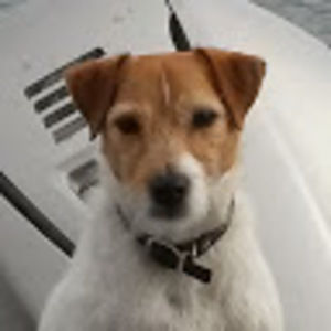 Meet your Posher, Mike & sheila